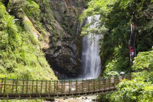 【觀音瀑布】『觀音垂柳』奇景 ，夢幻『飄谷雨』， 嘉義觀音瀑布重磅回歸!!
