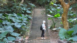 《彰化》卦山少林｜花壇西來園（銀行山）登山步道20241201