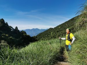 台灣山毛櫸步道-夏日碧綠盎然佐壯觀山巒