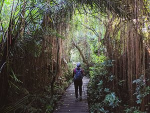 【高市臨海屏障】柴山步道