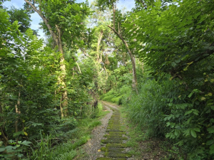 虎頭埤環湖步道