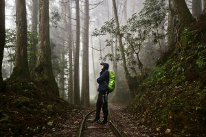 特富野古道