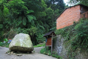 最難忘的登山健行-這輩子再也不想來的南投中寮.國姓-九份二山