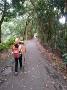 松柏嶺登廟步道