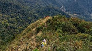 坪林區碧湖宮-四堵崙-四堵山-護管所遺址O型