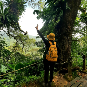 藏在指縫間的綠色探險｜五指山「金龜岩、猴洞」步道慢行