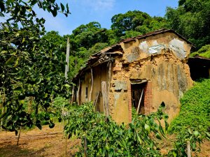 三段崎古道-2025森遊竹縣皮皮獅探險隊