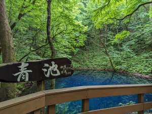 2023-06-14 十二湖（日本）