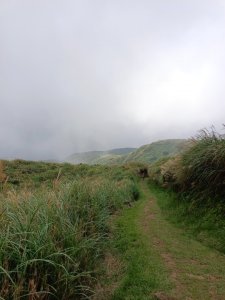 走遍陽明山