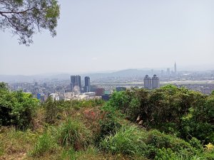 【臺北大縱走 5】碧湖公園→碧山巖→忠勇山越嶺步道→金龍產業道路→圓明寺步道→鄭成功廟步道→文間山→劍南路