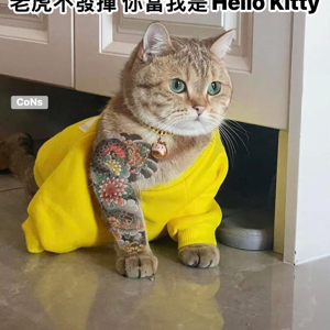 陳金玉