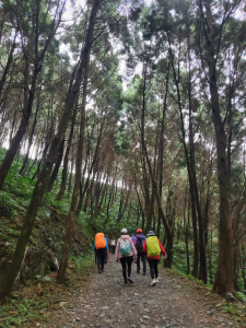 肖楠步道，燈篙林道，雙月湖（原路來回）