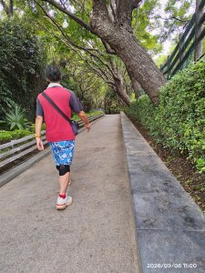 2026新竹紅樹林公園健走