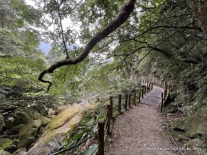 【新竹縣】親民又原始的馬胎古道＋南坪古道