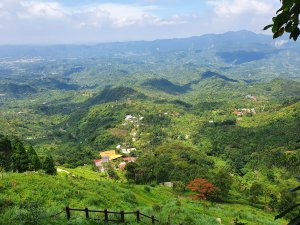 梅嶺半日遊