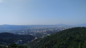 土城桐花公園