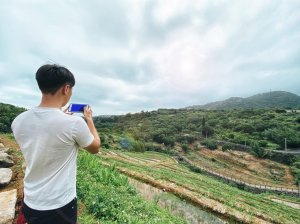 【新聞】照過來！士林平等里彩繪水稻，歡迎民眾一同參與