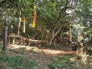 德芙蘭生態步道-綠蔭遮陽，涼風徐徐避暑道