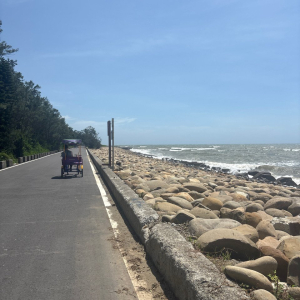 霄裡好風光，運動樂悠遊