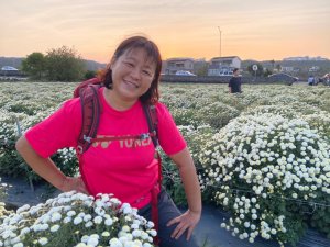  三義走到銅鑼之三員縱走有六連峰兼賞杭菊