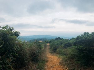 桃園虎頭山