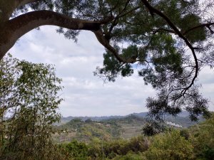 中市北屯-南觀音山