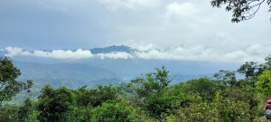 2020-027：慈湖郊山O型縱走一草嶺山、白石山、頭寮山