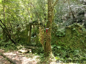 雙溪區崩山坑古道+下坑山稜線越嶺路+下坑山O型