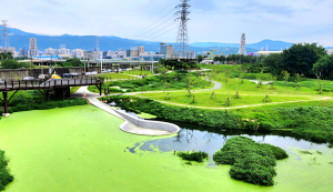 驚奇漫步水中央，雙溪濕地公園之旅