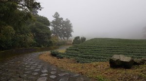 坪林南山寺-獅公髻尾山