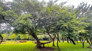 擁抱自然擁有文化