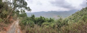 20250405屏東內南世山-西霧里乙山