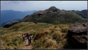 七星山主峰東峰（苗圃登山口）