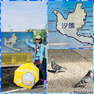 汐鴿展翅健走+ 山鼻YouBike大南雙鐵/福隆舊草嶺自行車環狀線