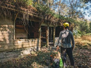 登山攝 #20 | 十坑巨根、 大人の温泉、百年之路的曠野之息