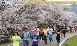 【賽事】櫻花盛放的賽道 2026 佐賀櫻花馬拉松 3.22 開跑
