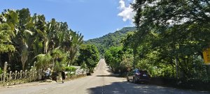 2025/06/28_馬胎+南坪古道