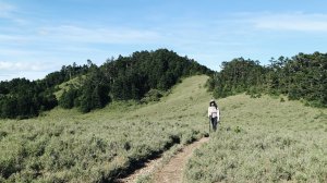 北二段之閂山｜踩著松針地、大草原上山