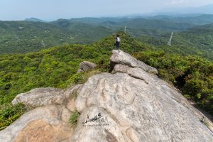 新山夢湖登山步道一探究竟