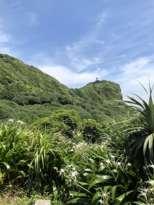 【東北角生態步道小旅行】鼻頭角之旅