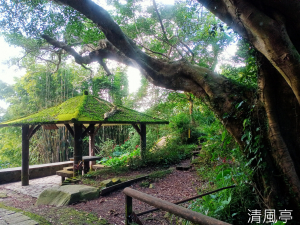 士林區清風亭+新圳頭山+內雙溪古道+高頂山西南峰+荷蘭古道西線+荷蘭嶺+登峰圳+坪頂古圳步道O型