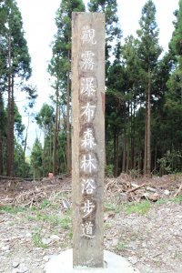 觀霧觀瀑步道 20150619