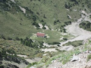 山神的花園南湖大山 ,療癒著你我的身心.釋放過往那囚禁人心的悲傷與每個崩潰情緒,俯首親吻聞花香恍如入夢間即是天堂..