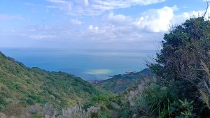 找一個晴天去爬山~金瓜石芒花之旅