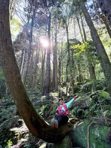 橫嶺山走走避暑趣 2025.6.11
