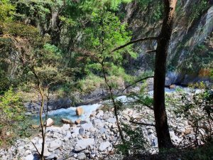 台中阿罩霧山，八仙山森林遊樂區，天籟步道