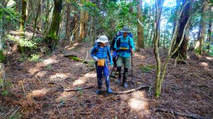 五峰天際線系列之「鹿坑山-南比林山」加碼「尤命神木」