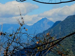 唐麻丹山-谷關七雄(老么)