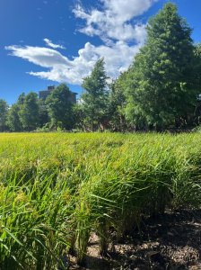 霄裡好風光，運動樂悠遊！