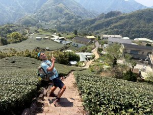 鼠眉毛縱走+進學古道+野薑花步道【戀上紫色山城的浪漫魅力】